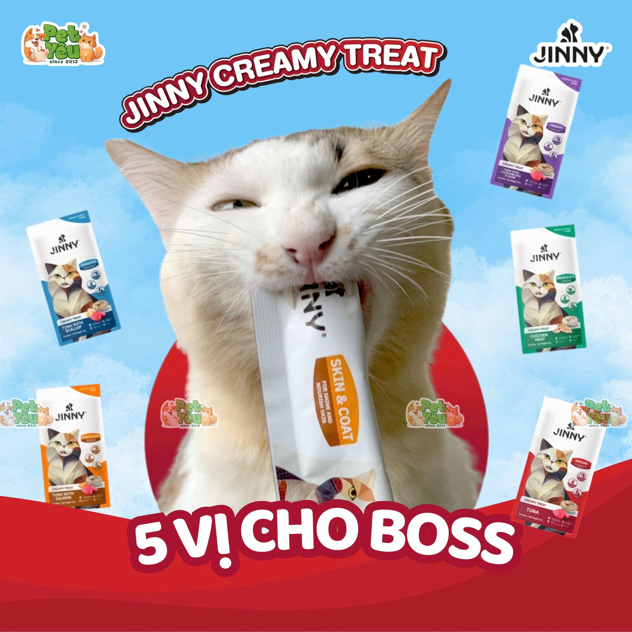 Súp thưởng dành cho mèo JINNY - Túi 75G ( 5Gói x 15G)