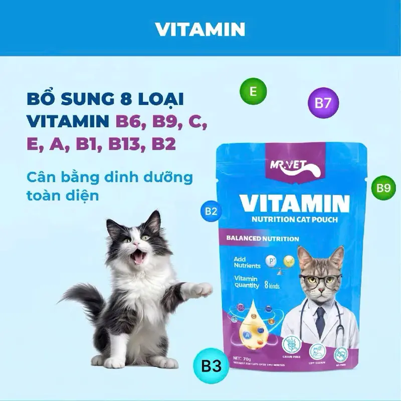 Pate cho mèo MR.VET - Gói 70G 
