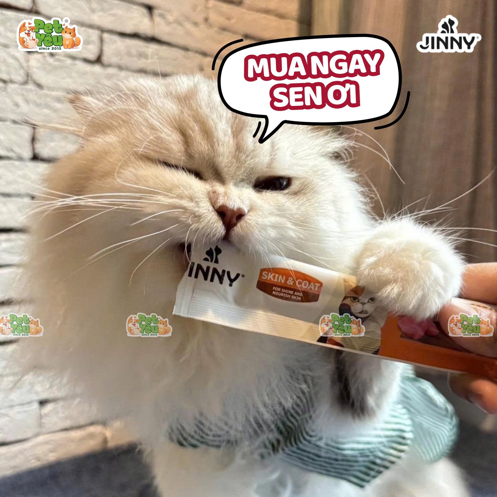 Súp thưởng dành cho mèo JINNY - Túi 75G ( 5Gói x 15G)