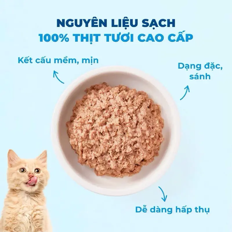 Pate cho mèo MR.VET - Gói 70G 