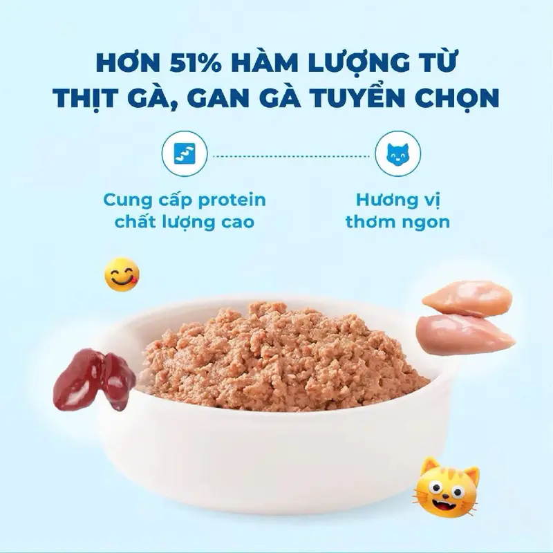 Pate cho mèo MR.VET - Gói 70G 