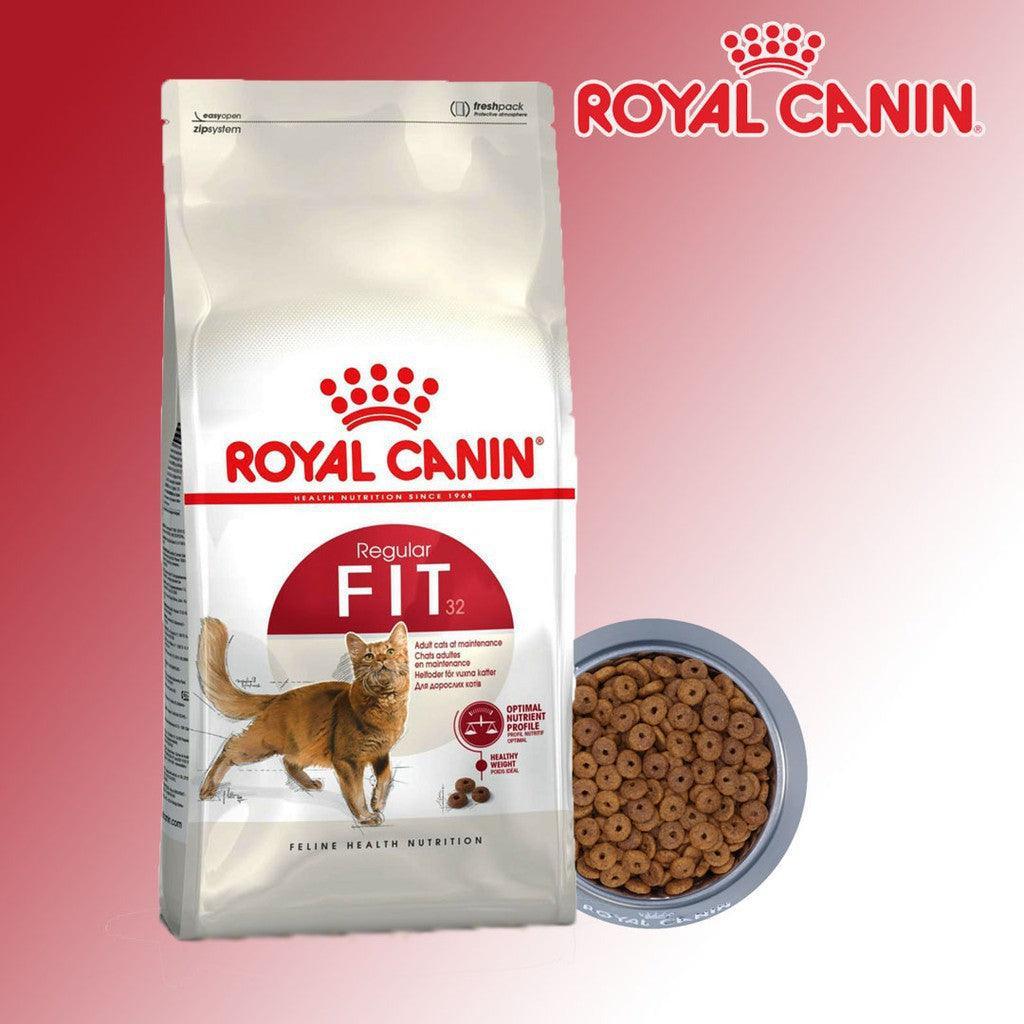 Thức ăn hạt Royal Canin Fit 32 cho mèo trưởng thành