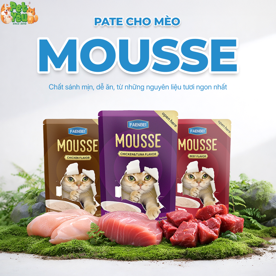 Pate Mousse FAENBEI cho mèo từ 3 tháng tuổi - Túi 85G