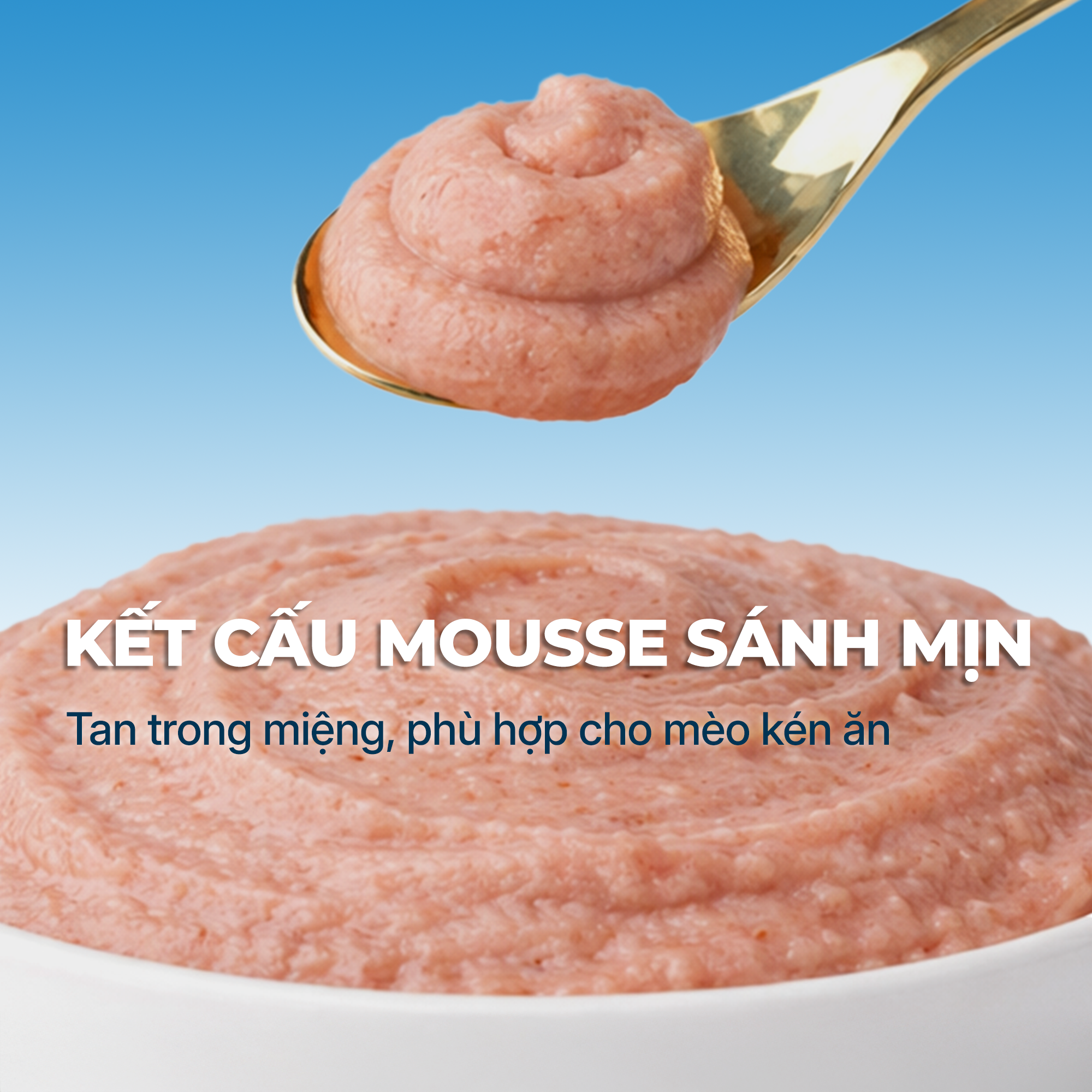Pate Mousse FAENBEI cho mèo từ 3 tháng tuổi - Túi 85G