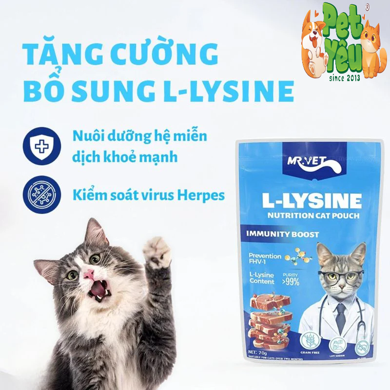 Pate cho mèo MR.VET - Gói 70G 