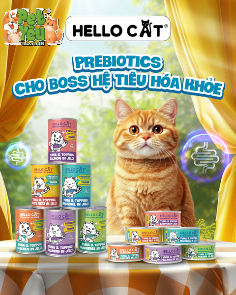 Pate cho mèo HELLO CAT lon 400g