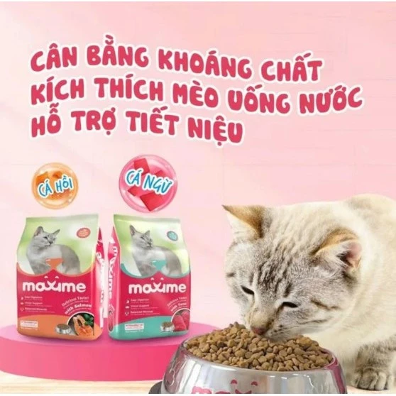 Thức ăn hạt cho mèo mọi lứa tuổi Maxime