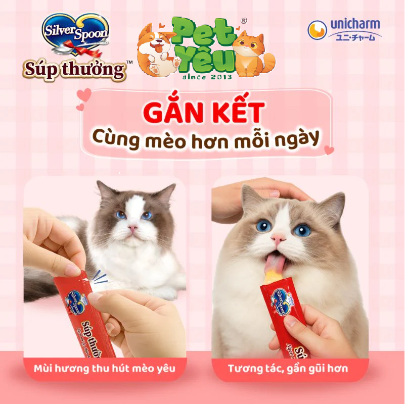Súp thưởng cho mèo Silver Spoon- Túi 56G (14Gx 4 gói)