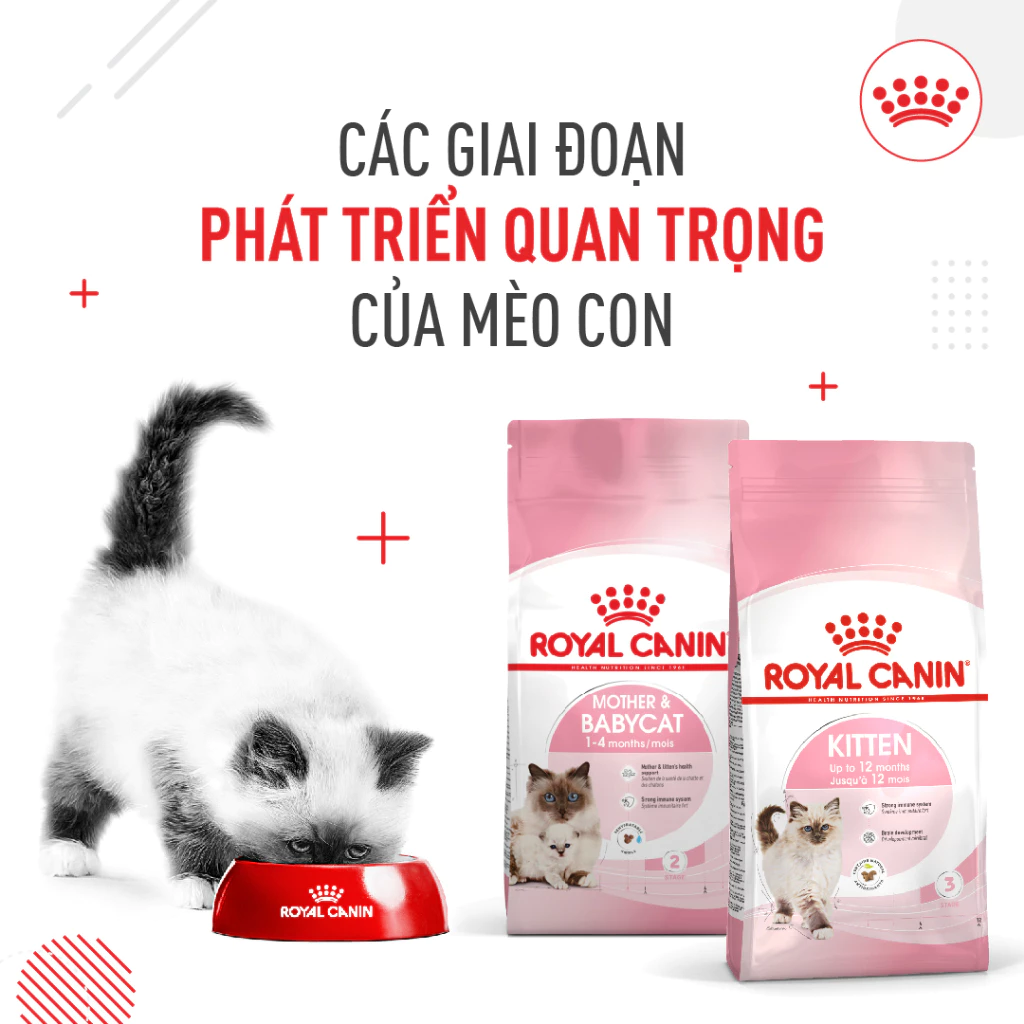 Thức ăn hạt Royal Canin dành riêng cho mèo mẹ & mèo con