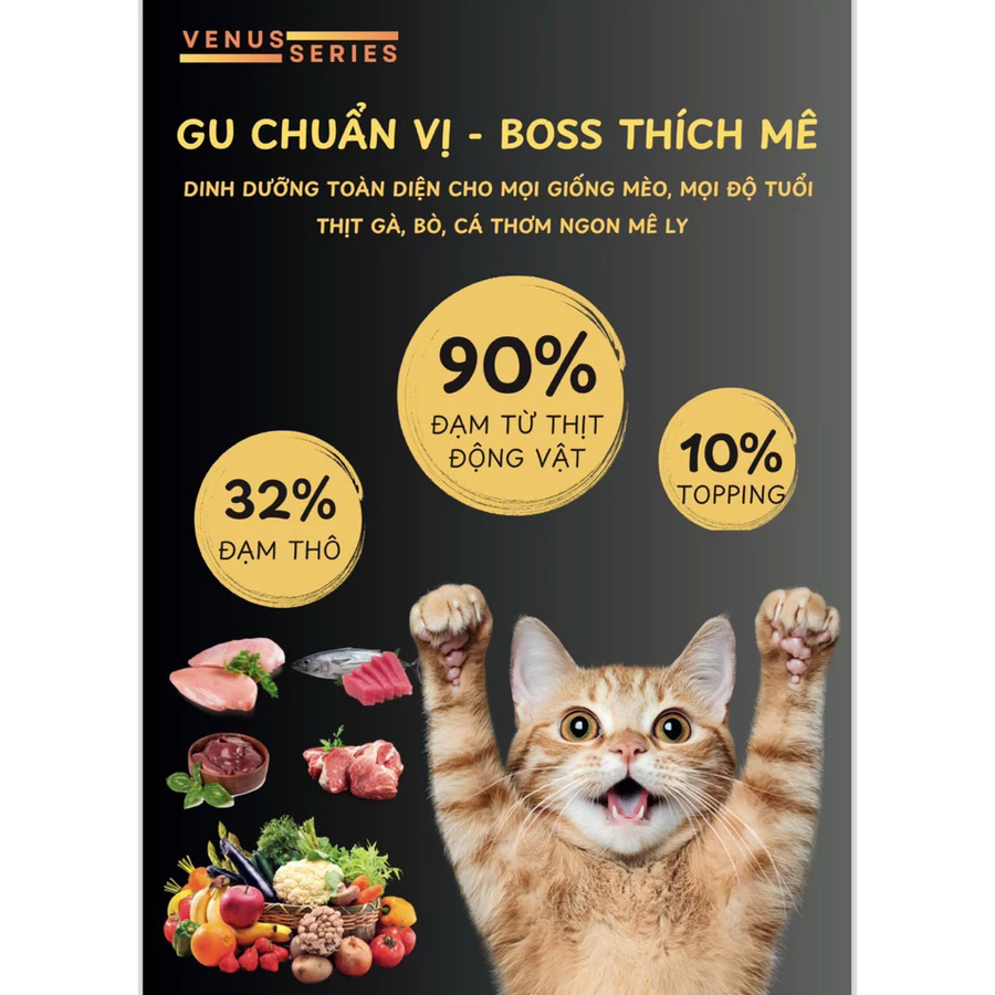 Thức Ăn Hạt cho mèo RIOCAT