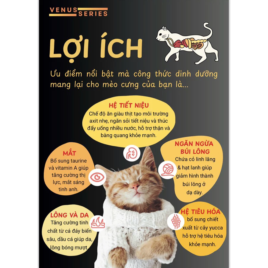 Thức Ăn Hạt cho mèo RIOCAT