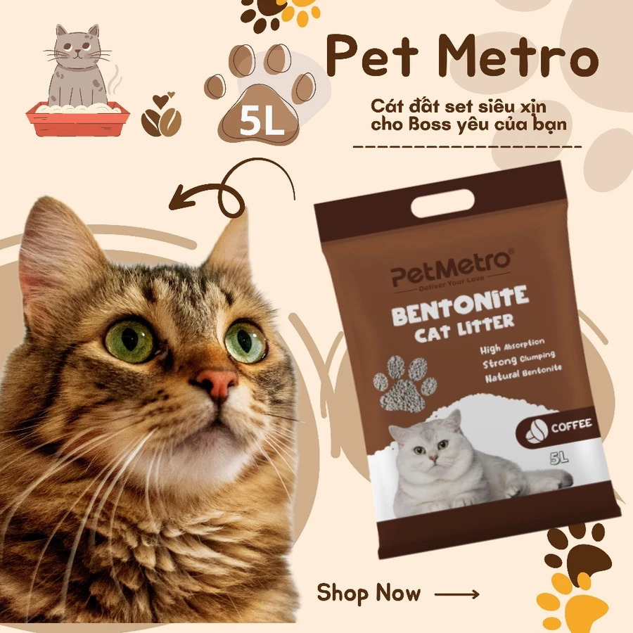 Cát đất sét PET METRO cho mèo