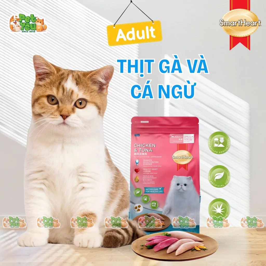 Hạt Smartheart cho mèo