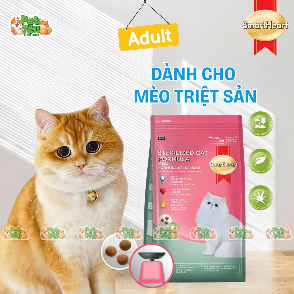 Hạt Smartheart cho mèo