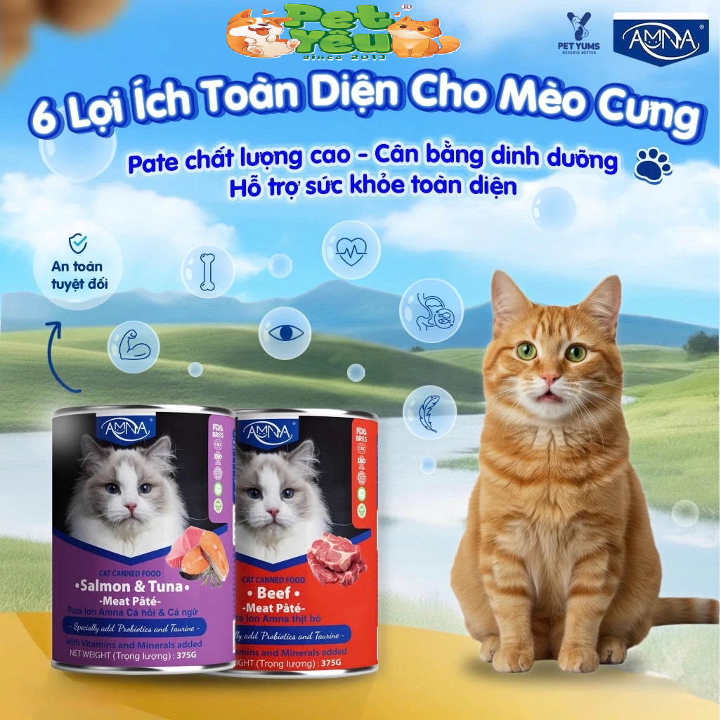 Pate dành cho mèo AMNA- Lon 375G