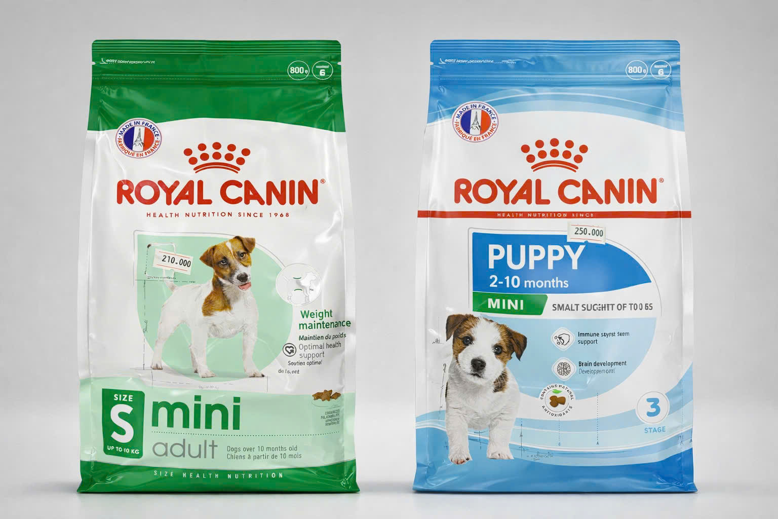 Thức ăn hạt cho giống chó nhỏ Royal Canin