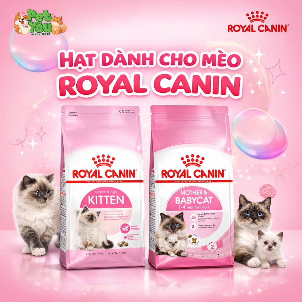 Thức ăn hạt Royal Canin dành riêng cho mèo mẹ & mèo con