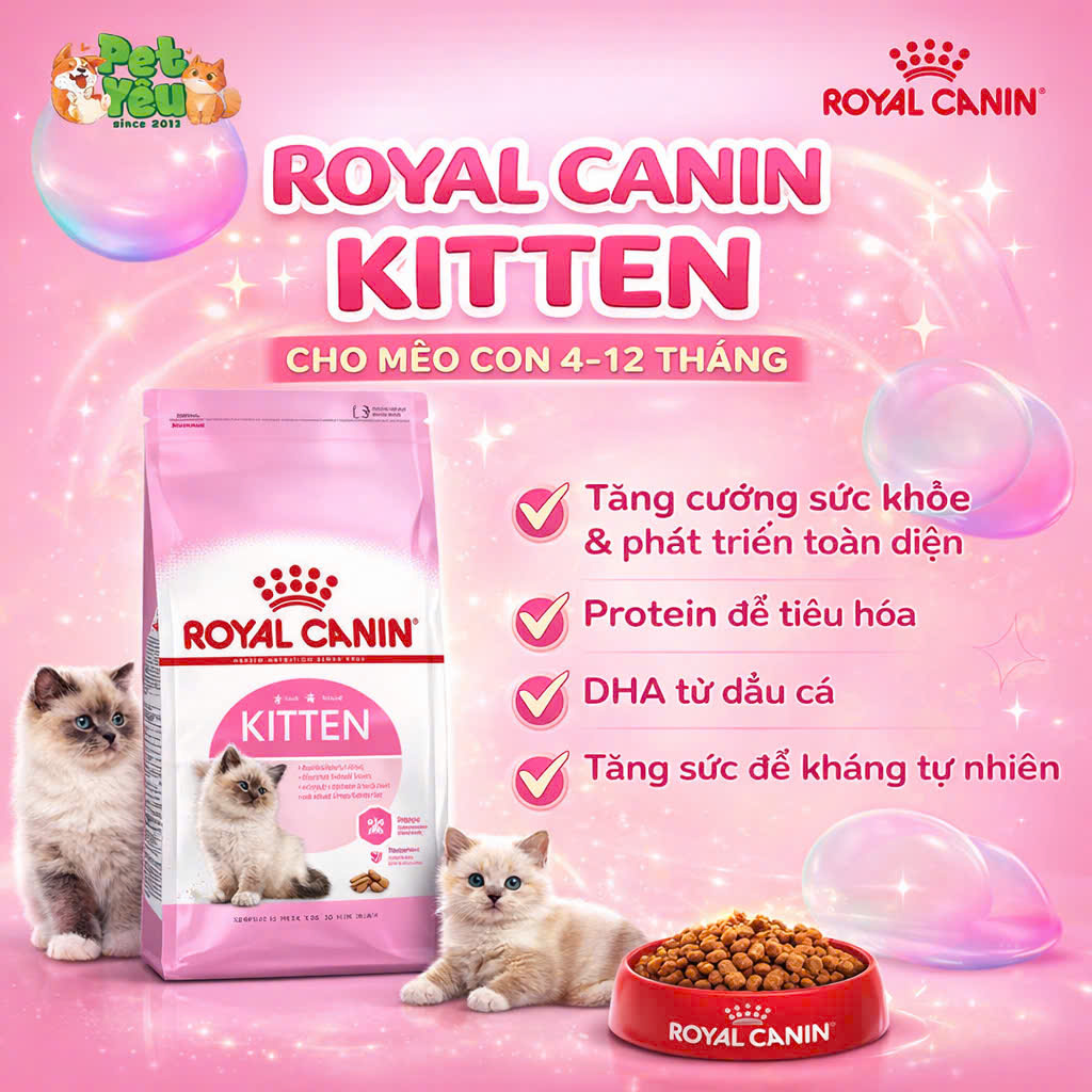 Thức ăn hạt Royal Canin dành riêng cho mèo mẹ & mèo con