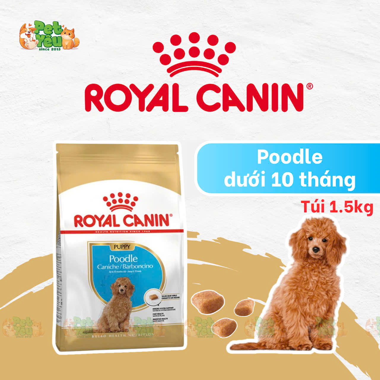 Thức ăn hạt Royal Canin dành cho chó Poodle 
