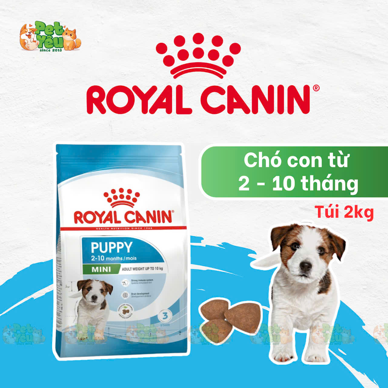 Thức ăn hạt cho giống chó nhỏ Royal Canin